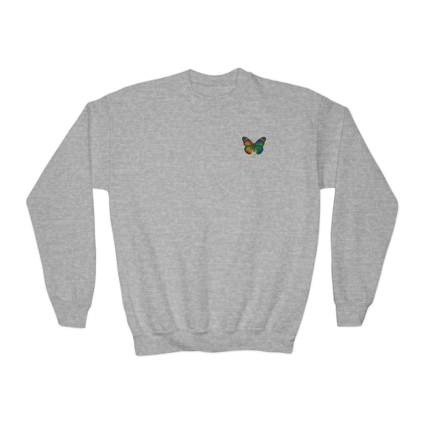 Mashafrica kids gray crewneck spring sweatshirt with small colorful butterfly chest print long sleeves